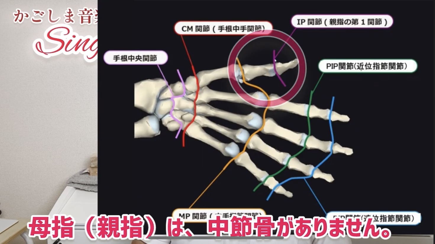 ピアノ学習者のための、指の解剖学〜第4回〜親指、小指の筋肉 | 〈声楽・ピアノ専科〉鹿児島(かごしま)音楽教室「Sing!」谷山