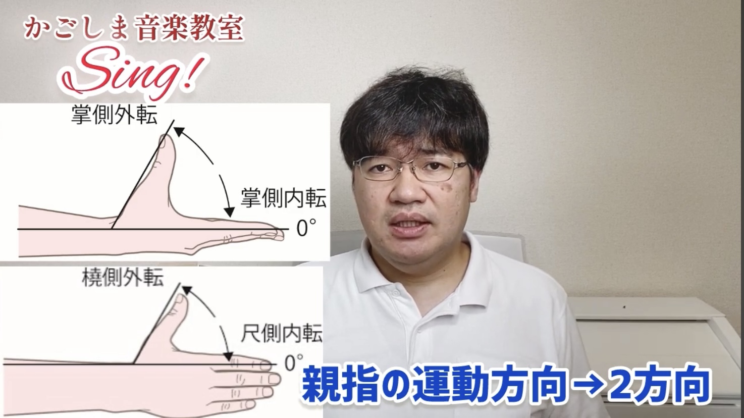 ピアノ学習者のための、指の解剖学〜第4回〜親指、小指の筋肉 | 〈声楽・ピアノ専科〉鹿児島(かごしま)音楽教室「Sing!」谷山
